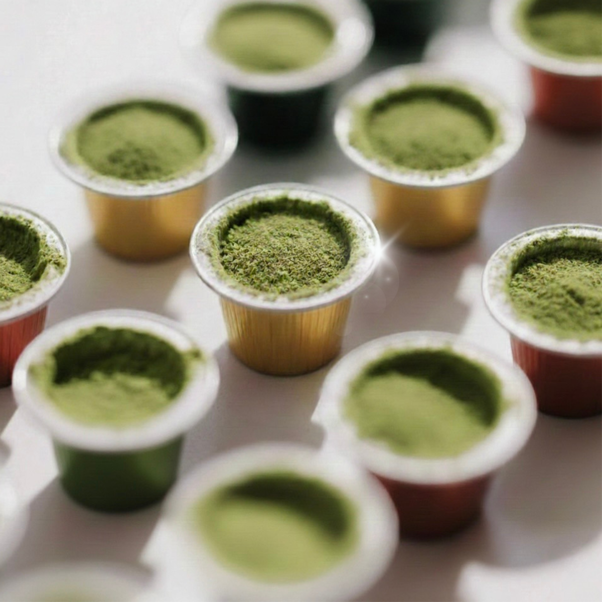 Boîte de 10 Capsules de Matcha - Compatibles Nespresso®